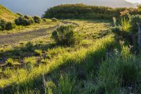 Traverse Peak 5-20180101-proc.jpg