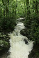 Middle_Prong_02.jpg Middle_Prong_02.jpg