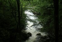 Middle_Prong_03.jpg Middle_Prong_03.jpg