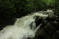 Middle_Prong_06.jpg Middle_Prong_06.jpg