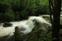 Middle_Prong_07.jpg Middle_Prong_07.jpg