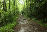 Middle_Prong_08.jpg Middle_Prong_08.jpg