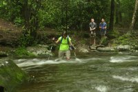 Middle_Prong_13.jpg Middle_Prong_13.jpg