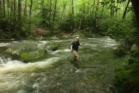 Middle_Prong_15.jpg Middle_Prong_15.jpg