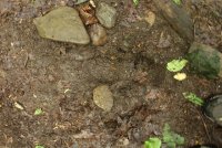 Middle_Prong_21.jpg Middle_Prong_21.jpg