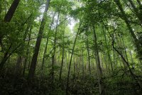 Middle_Prong_22.jpg Middle_Prong_22.jpg