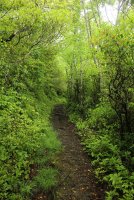 Middle_Prong_26.jpg Middle_Prong_26.jpg