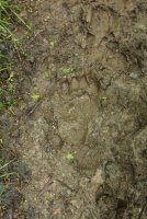 Middle_Prong_28.jpg Middle_Prong_28.jpg