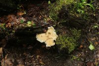 Middle_Prong_29.jpg Middle_Prong_29.jpg