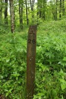 Middle_Prong_31.jpg Middle_Prong_31.jpg