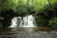 Middle_Prong_48.jpg Middle_Prong_48.jpg