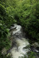 Middle_Prong_49.jpg Middle_Prong_49.jpg