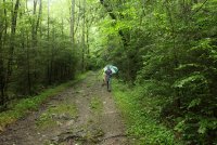 Middle_Prong_50.jpg Middle_Prong_50.jpg