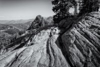 Red Baldy and Silver Glance 6-20180177-bw1-sm.jpg