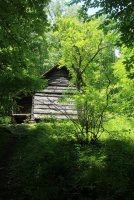 Little_Cataloochee_07.jpg