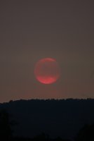 DSC01645.jpg DSC01645.jpg