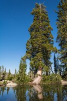 Red Baldy and Silver Glance 6-20180151.jpg