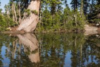 Red Baldy and Silver Glance 6-20180154.jpg
