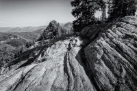 Red Baldy and Silver Glance 6-20180177-bw1.jpg