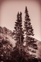 Red Baldy and Silver Glance 6-20180183-bw.jpg