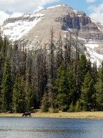 2018-06-08 14.26.02.jpg