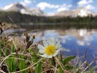 2018-06-08 15.45.11.jpg