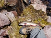 2018-06-09 13.35.26.jpg