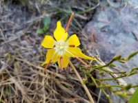 2018-06-09 17.49.41.jpg