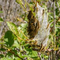 AF Silver Lake 5-20180066.jpg