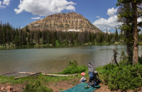 Screen Shot 2018-06-25 at 8.21.54 PM.png