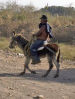 riding a burro highway 15.jpg