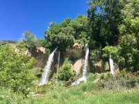 IMG_1878.jpg IMG_1878.jpg