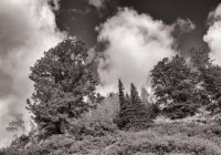 Twin Lakes 6-16-180037-bw.jpg Twin Lakes 6-16-180037-bw.jpg