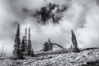 Twin Lakes 6-16-180038-bw.jpg Twin Lakes 6-16-180038-bw.jpg