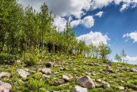 Twin Lakes 6-16-180176-proc.jpg Twin Lakes 6-16-180176-proc.jpg