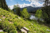 Twin Lakes 6-16-180262-proc.jpg Twin Lakes 6-16-180262-proc.jpg