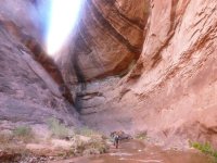 P1010335imp2.jpg P1010335imp2.jpg