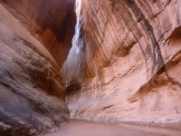 P1010338imp.jpg P1010338imp.jpg