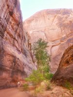 P1010328imp.jpg P1010328imp.jpg