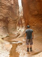 P1010234imp.jpg P1010234imp.jpg