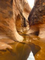 P1010238imp.jpg P1010238imp.jpg