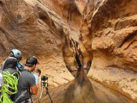 P1010239imp.jpg P1010239imp.jpg