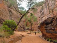 P1010243imp.jpg P1010243imp.jpg