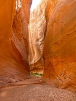 P1010257imp.jpg P1010257imp.jpg