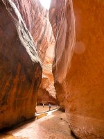 P1010265imp.jpg P1010265imp.jpg