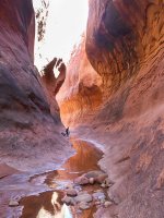 fullsizeoutput_403imp.jpg fullsizeoutput_403imp.jpg