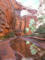 fullsizeoutput_409imp.jpg fullsizeoutput_409imp.jpg