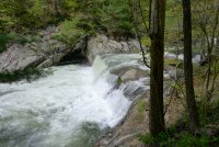 Trip 190 (480)-L.jpg