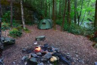 Trip 190 (230)-L.jpg