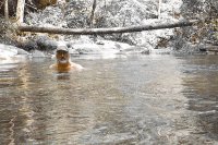 Trip 190 (438)-M.jpg